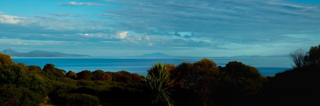 Appartamento Eagle Peaks At Freycinet Coles Bay Esterno foto